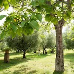 Il Casale Degli Ulivi 3*