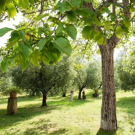 Il Casale Degli Ulivi 3*