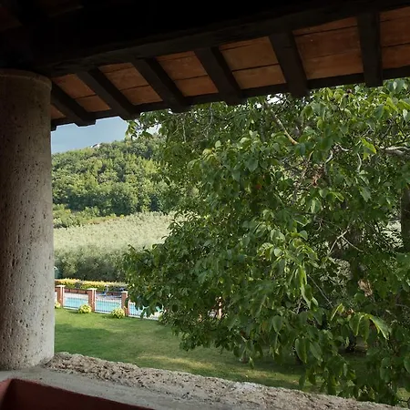 Bed & Breakfast Il Casale Degli Ulivi